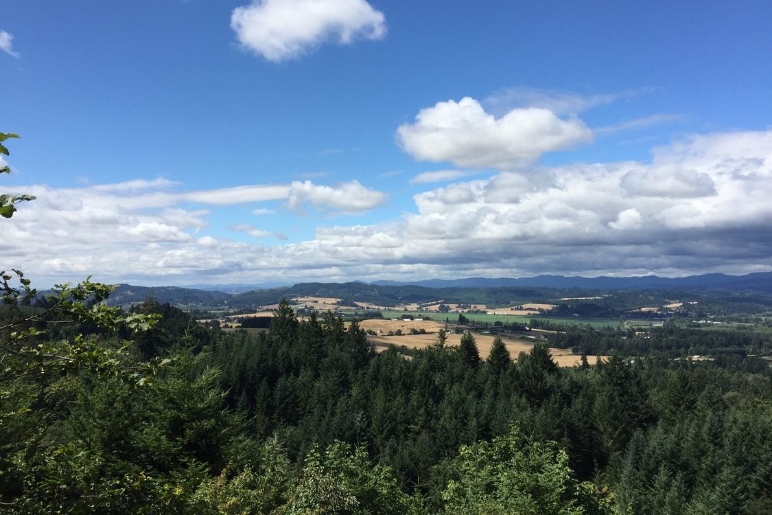 A view across the Tualatin River valley toward the northwest from Chehalem Ridge Nature Park, on a sunny day with many white puffy clouds in the sky