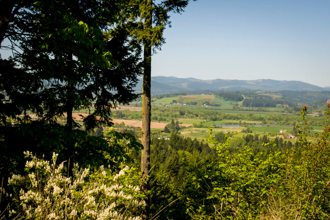 A view across the Tualatin River valley from Chehalem Ridge Nature Park