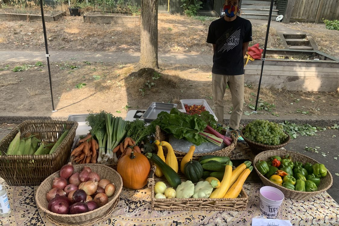 person standing behind a table with fresh vegetables at a booth