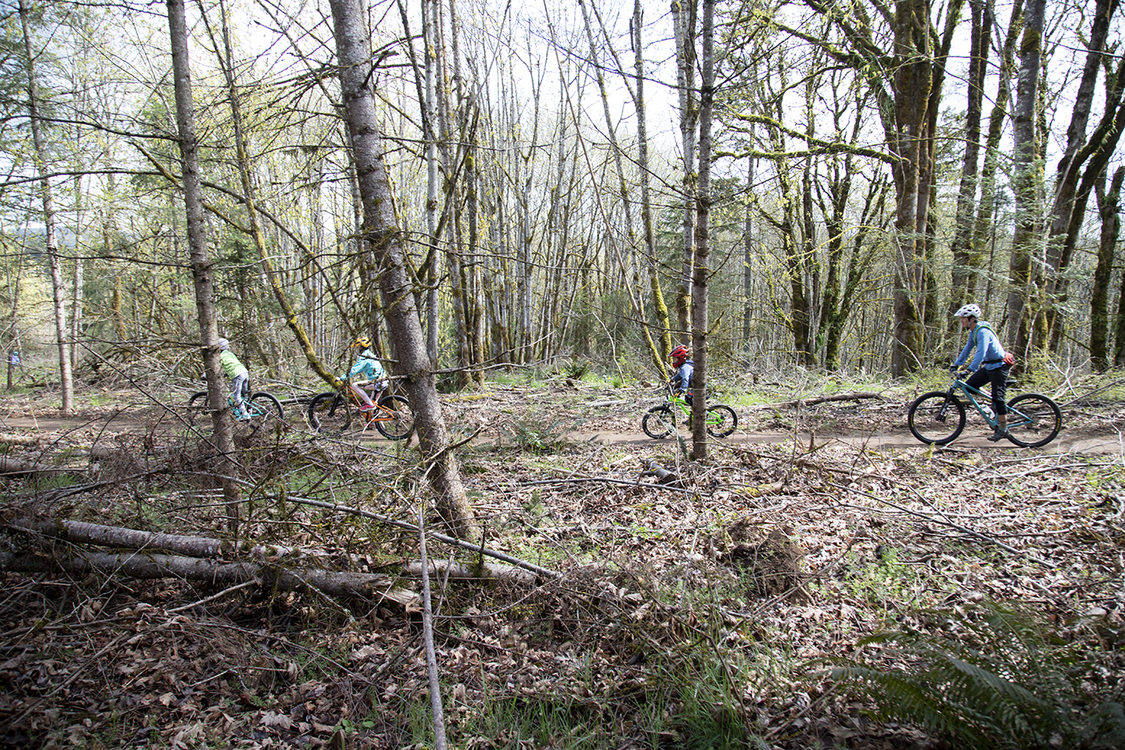 Four mountain bikers, three of them kids, ride along a forest trail.