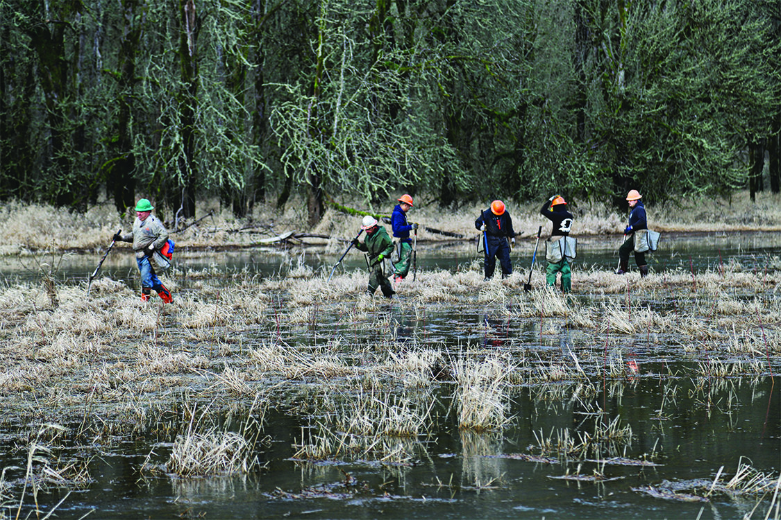 A group of people wearing hip-waders and hardhats and holding shovels stand in a flooded field.