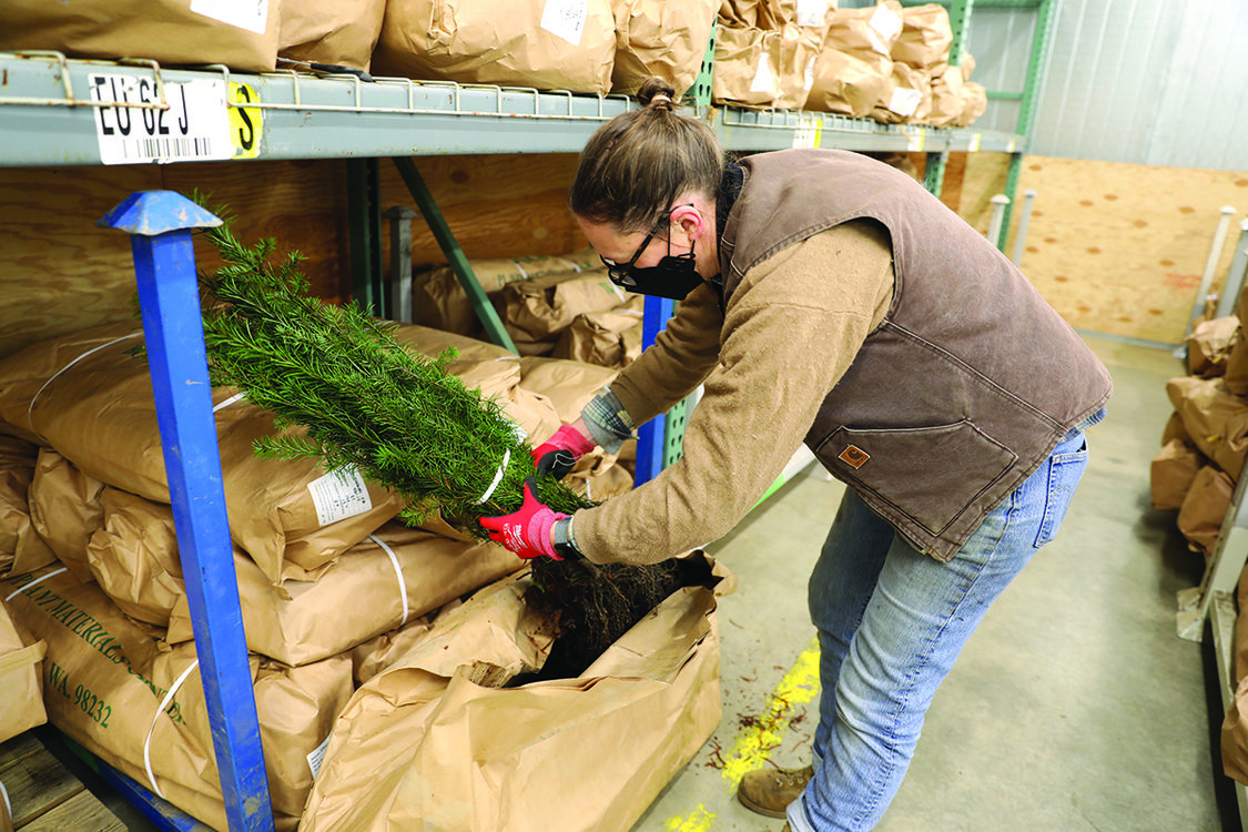 A person with blonde hair in a bun and wearing a mask stands by shelves with many large brown bags.