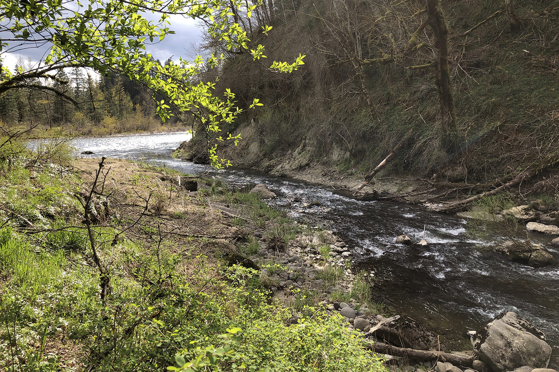 A creek flows into a larger river next to a very steep hill. Forrest surrounds the river and creek.