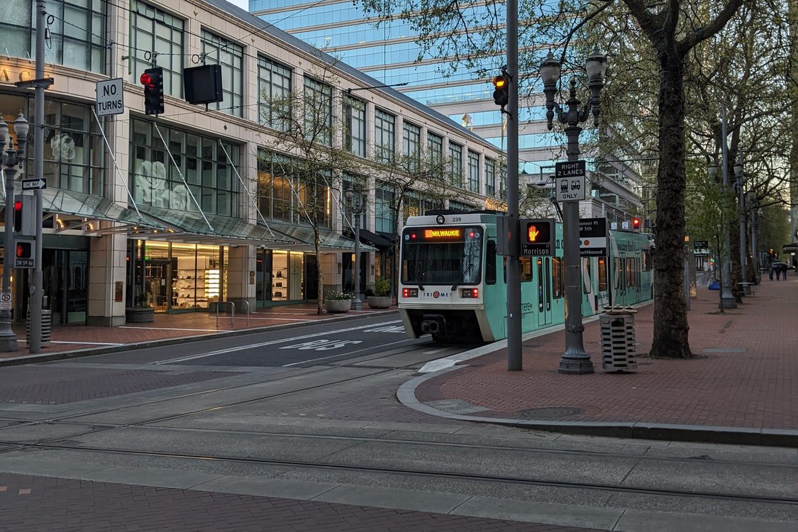 MAX light rail train on an empty street in downtown Portland, with bare-leaved trees and city buildings in the background