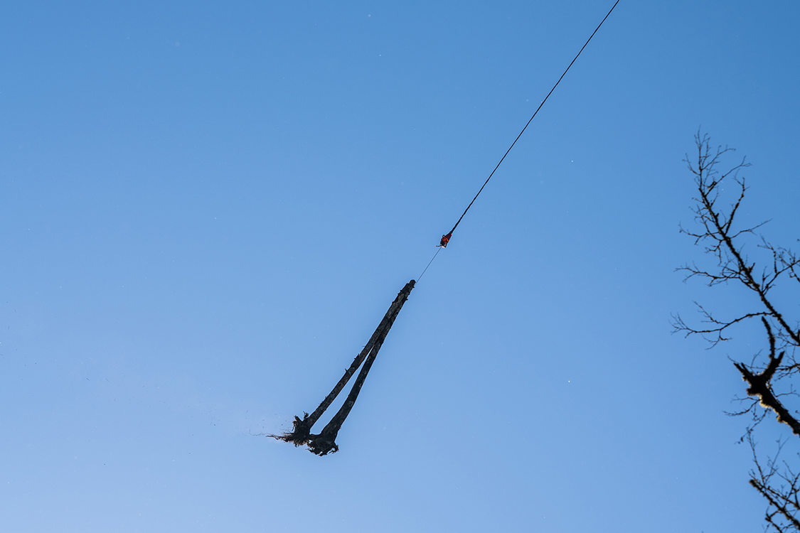 Two logs are suspended in the air with a blue sky behind them.