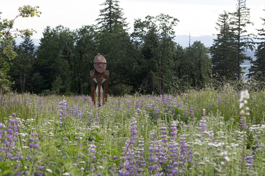 Statue centered in the midst of Doug fir background and lupine in peak bloom.