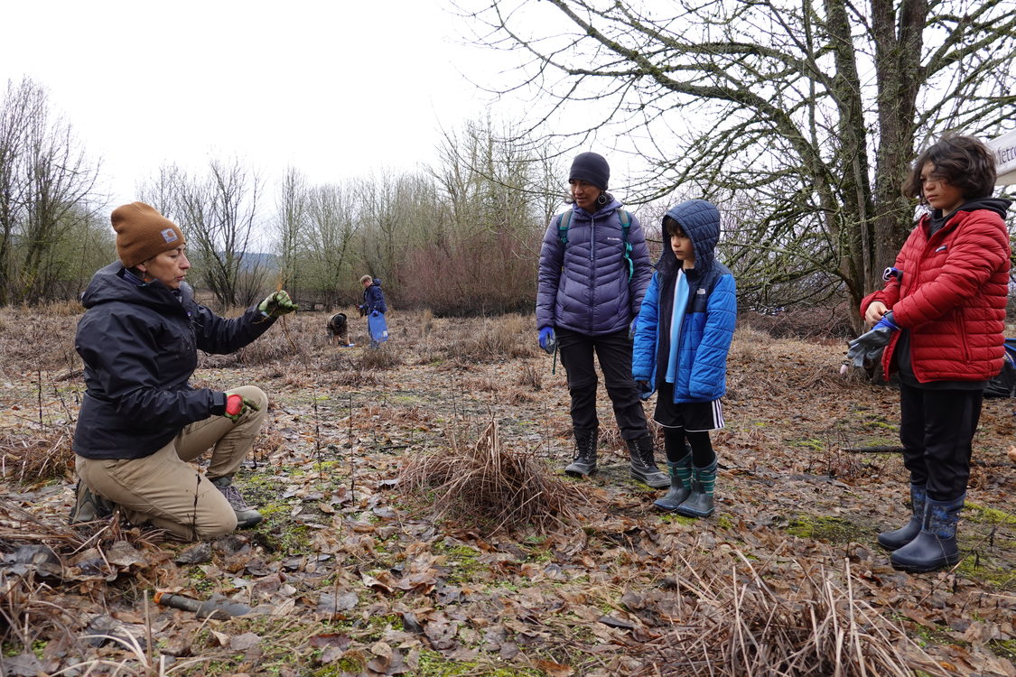 Metro naturalist Jessica Rojas, kneeling, shows a sedge to a mother and two children at Smith and Bybee Wetland