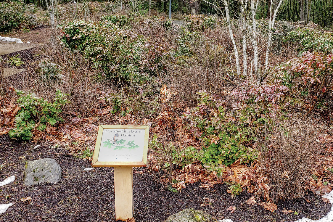 A sign for the Backyard Habitat program sits in a garden of native plants at Scouters Mountain Nature Park.