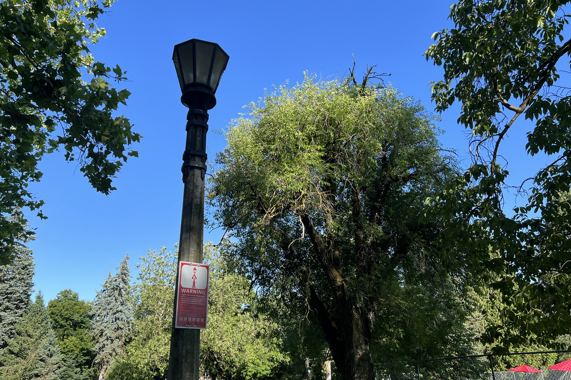 A lamp post stands in a tree-dotted park. A sign attached to the post says, "WARNING. Light pole to be replaced."