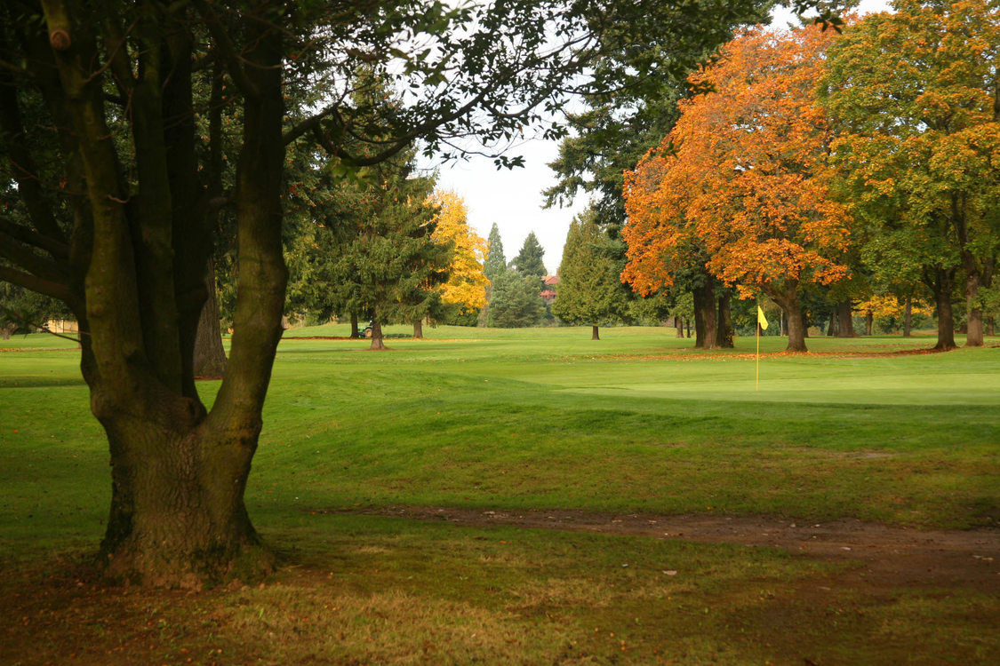 Golf course green dotted with deciduous trees, some of which have leaves turning gold in early autumn.