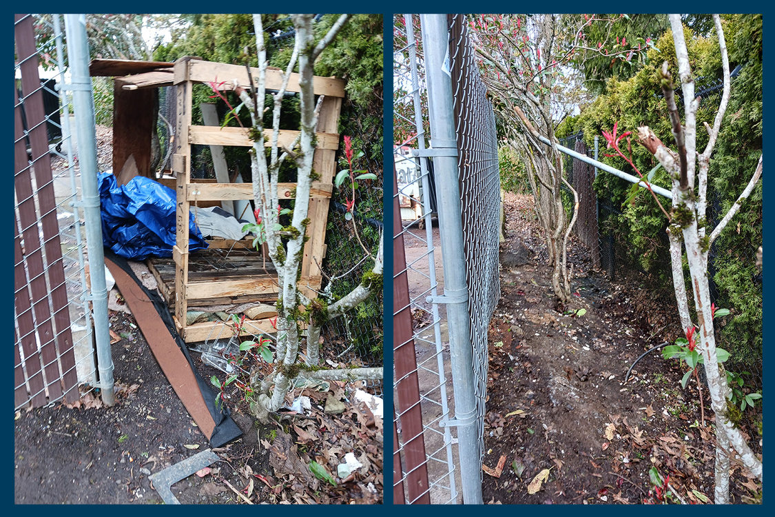 Before and after images of a greenspace in Hillsboro that had been used as a dump site