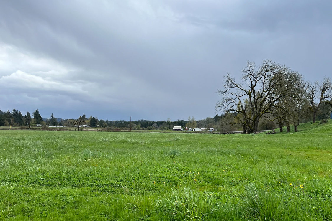 A lush green field of grass with farm buildings in the distance