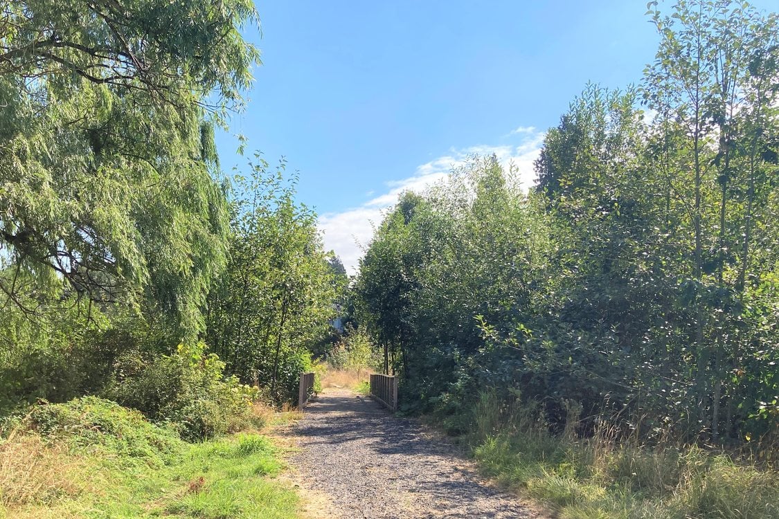 A dirt path, surrounded by grass and trees, leads to a wooden bridge.