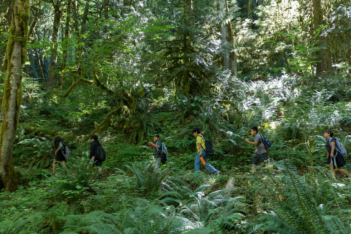 A line of Latino elementary-age kids walk along a trail in a lush forest full of ferns and evergreen trees.