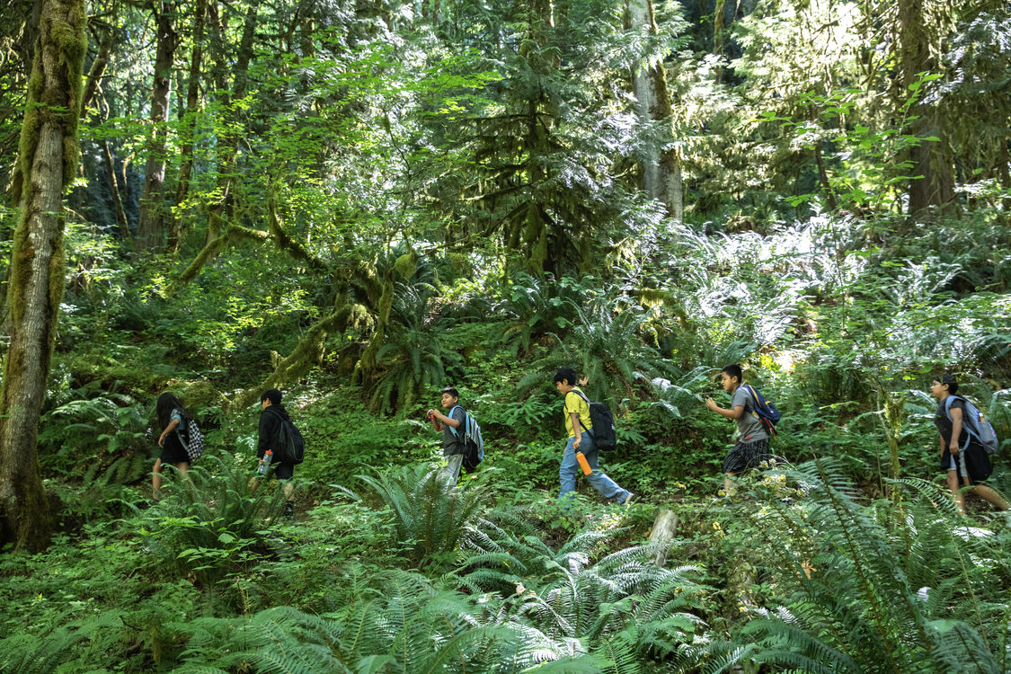 Children with backpacks hike on a trail through a dense, green forest. 
