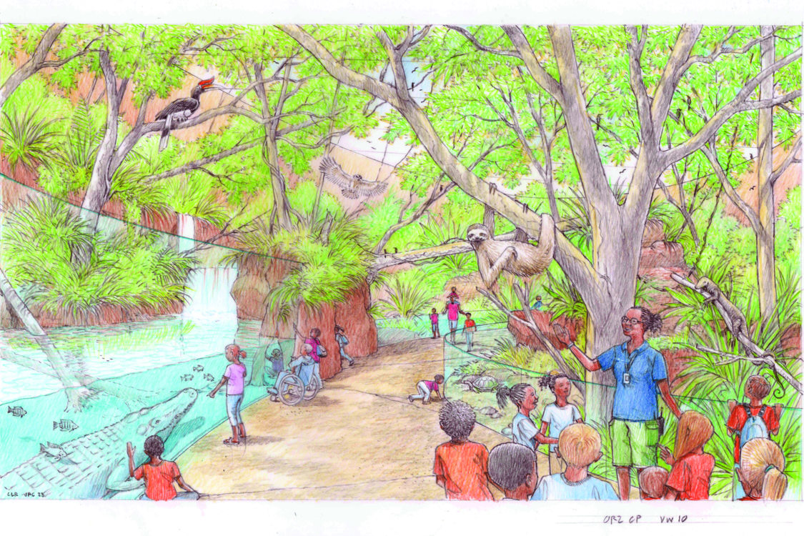 An artist conception shows a large multi-species enclosure. The drawing shows birds, a sloth, an alligator and fish all in the same enclosure as people observe. 