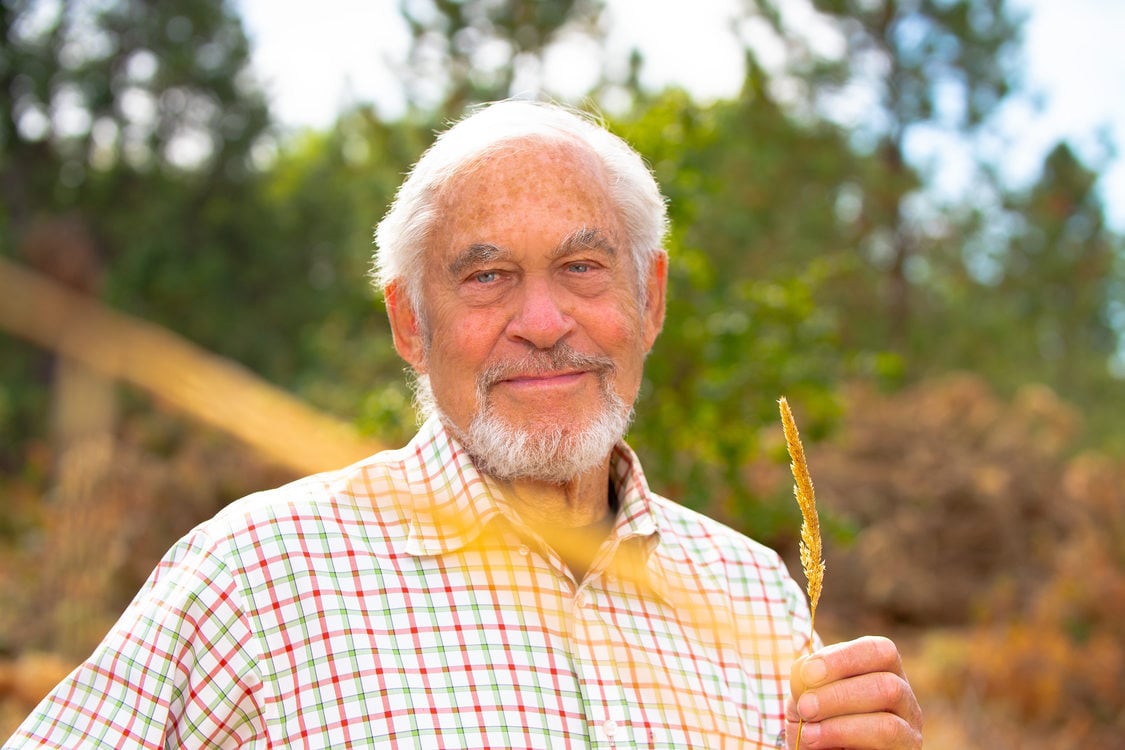 Headshot of Metro Councilor Gerritt Rosenthal, wearing a white shirt with green and red plaid and holding a dried tassle of grass in his hand.