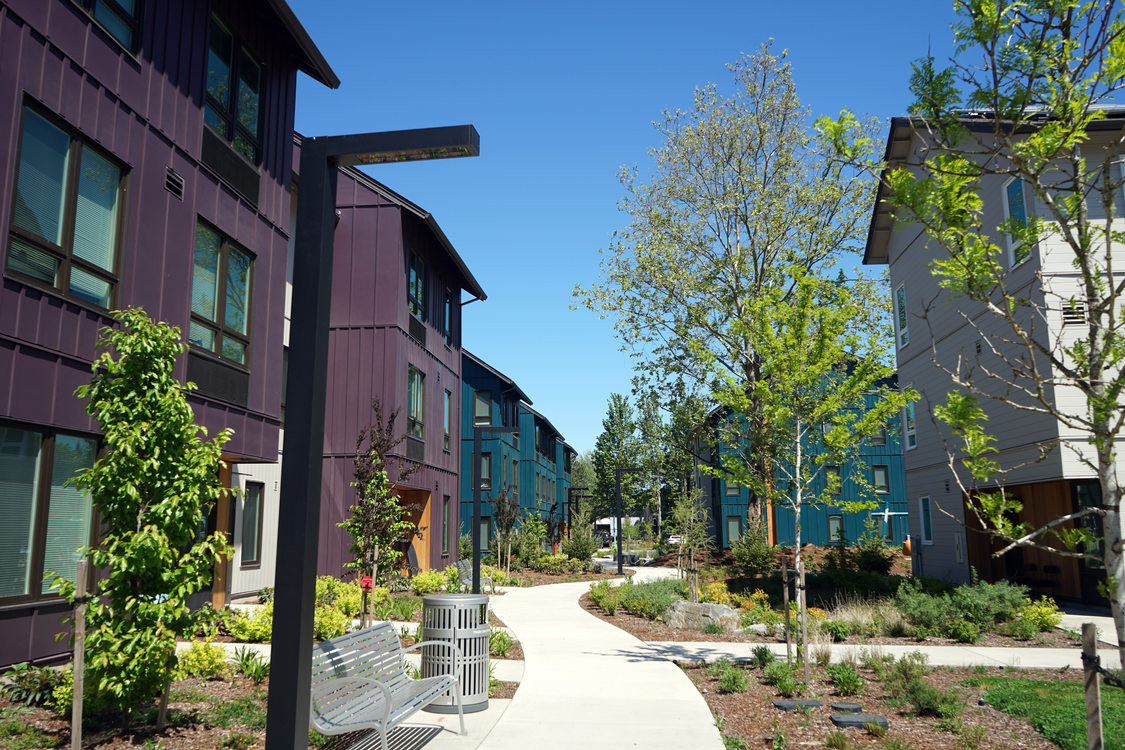 Pathway winding through multifamily structures.