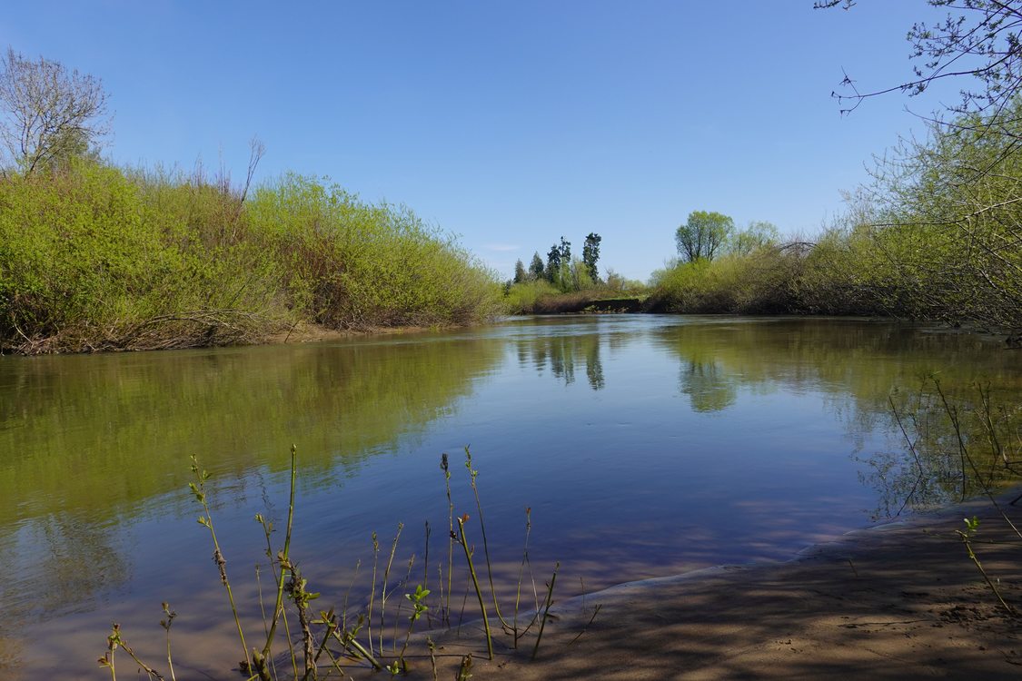 a placid-looking river lined with scrub brush under a blue sky