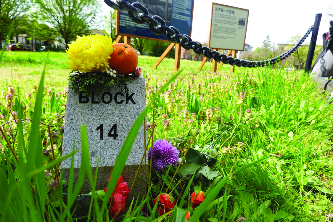 A cemetery marker with the text 'Block 14' visible, placed on the grass in a cemetery. The marker is surrounded by green grass and is adorned with flowers and a citrus fruit.