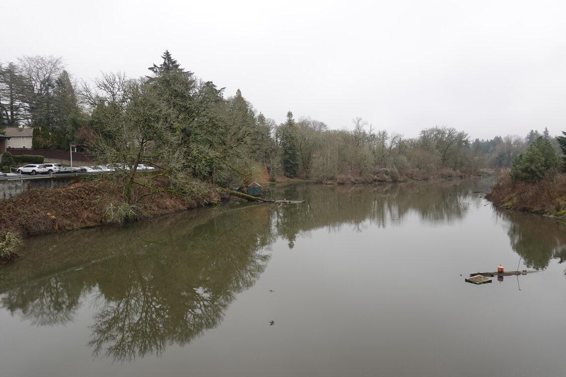 A still lake dotted with flotsam under a cloudy sky. To the left, a parking lot and apartment building can be seen just a few feet up the lake's bank.