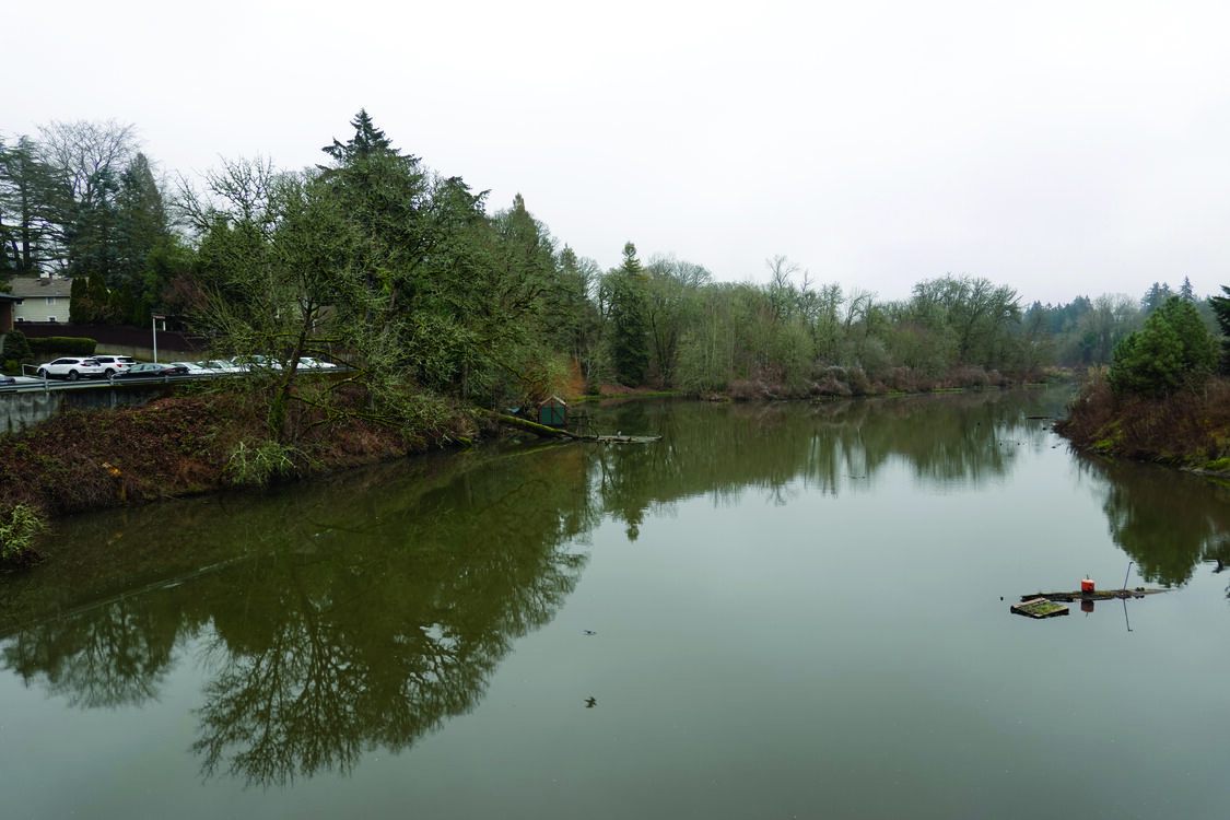 A view of a murky creek from the sidebar. Sparse trees and cloudy weather indicate it is late fall or winter. One the other side of the creek is a parking lot full of cars and a small, weathered dock. 