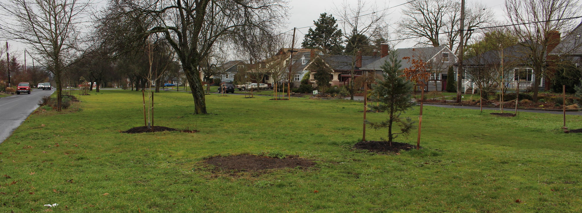 grassy median strip along Northeast 72nd Avenue in Roseway neighborhood