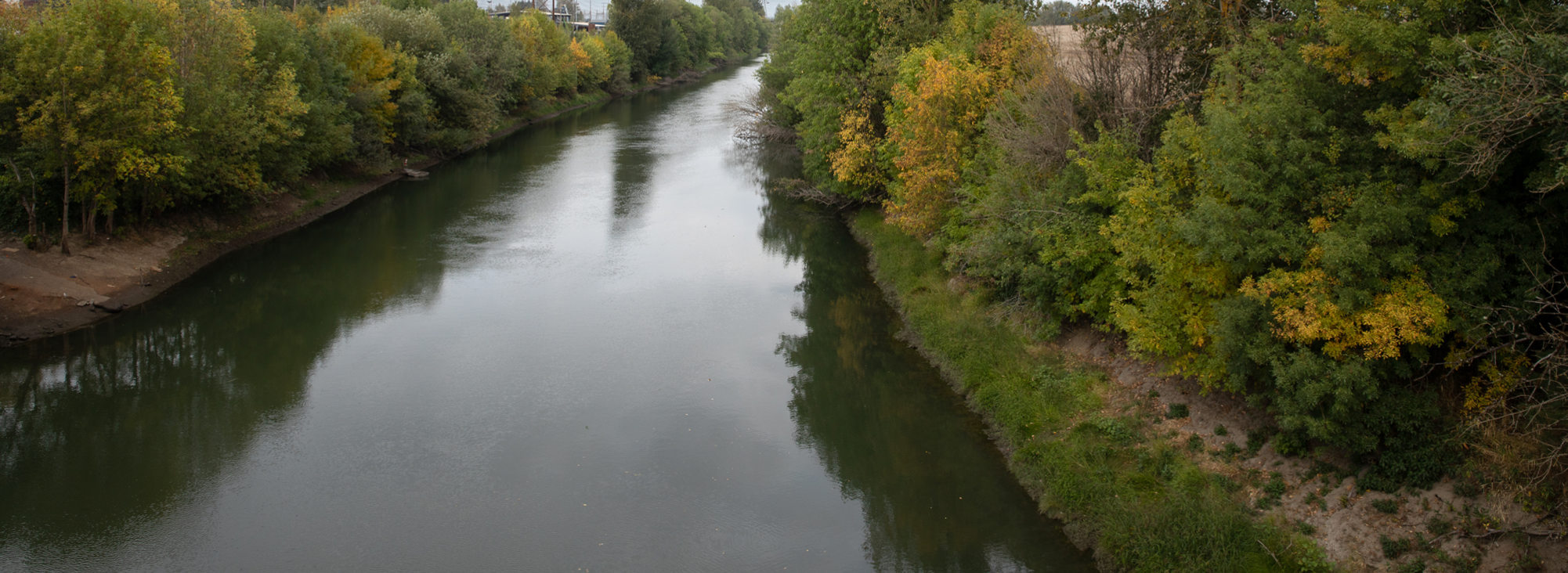 the Columbia Slough along St. Johns Prairie
