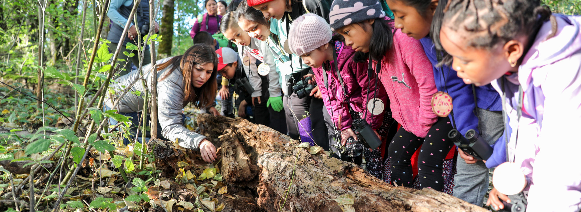 A group of black and brown children from Club Aves look under a nurse log with a Metro nature educator.