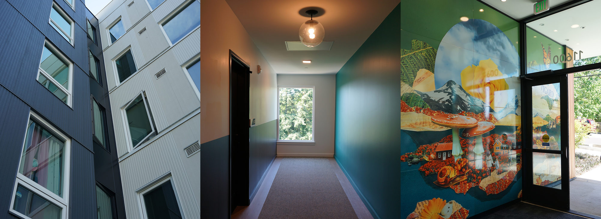 Three images of an apartment building: exterior corner with one grey and one white side, interior hallway with window with tree view, entrance with glass door and window and mushroom mural
