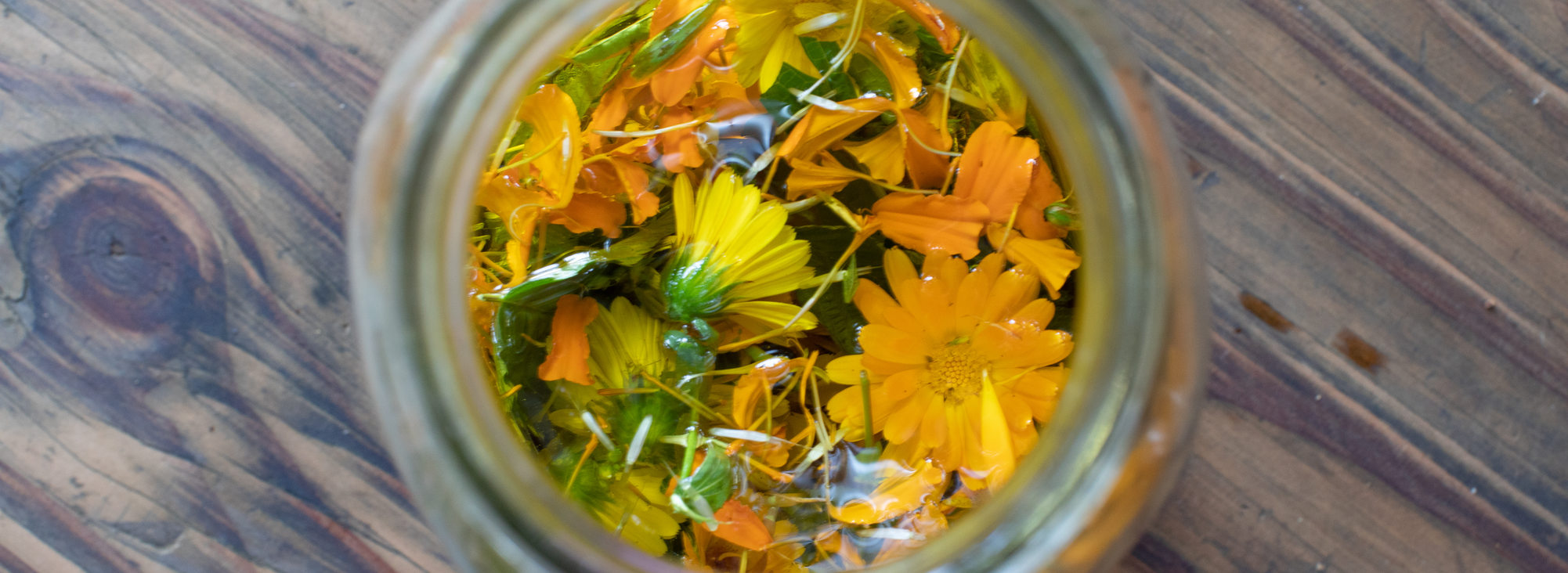 A mason jar full of bright orange and yellow flowers from Atabey Medicine Council