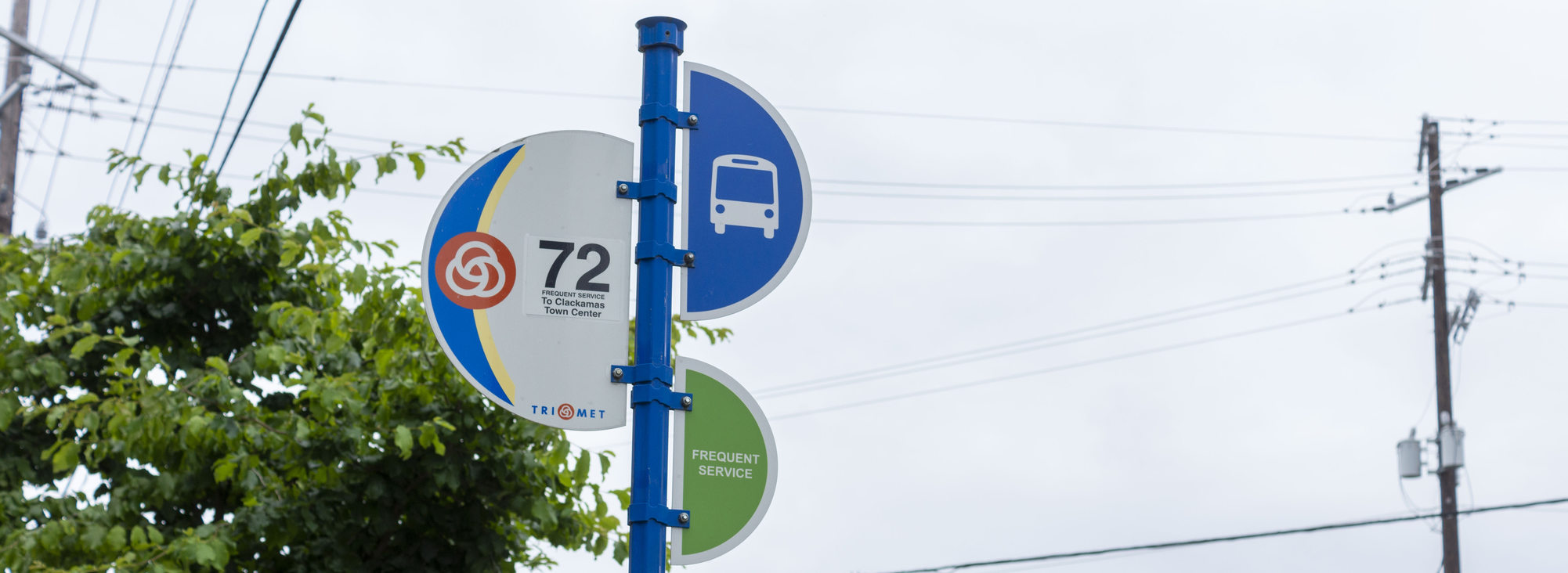 Line 72 bus stop sign with tree, power pole and sky background