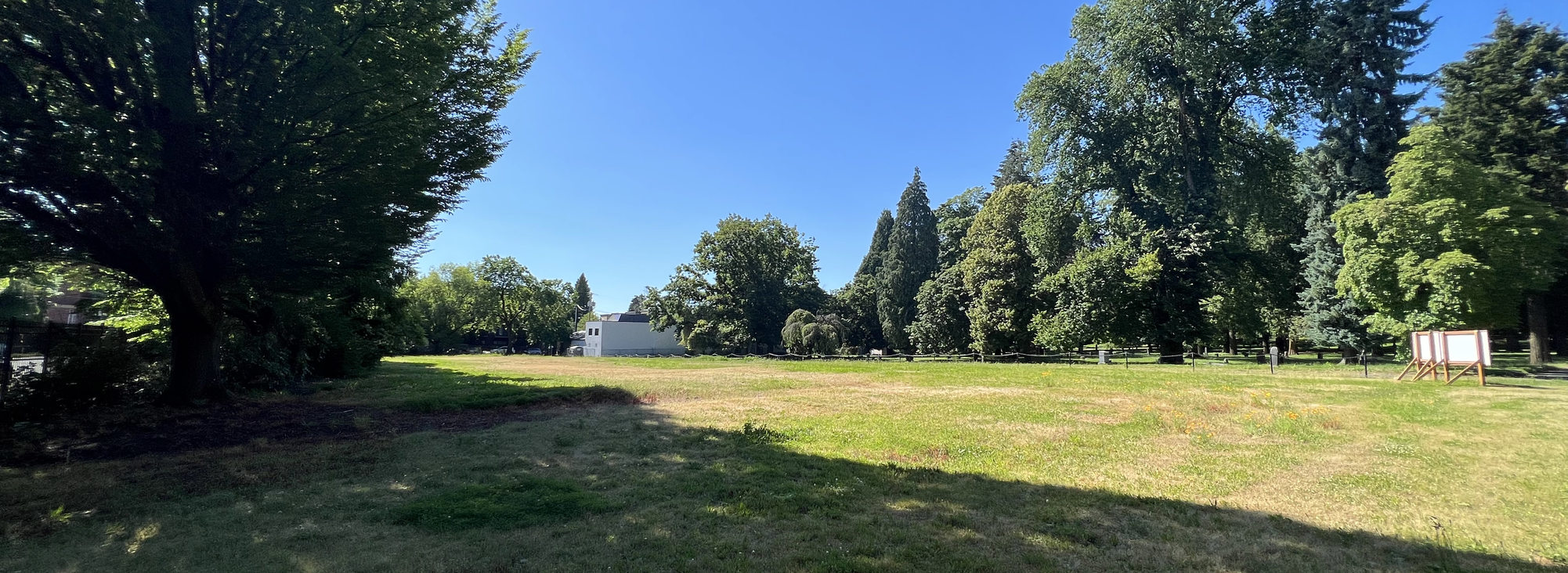 A view of the grassy field in Lone Fir Cemetery known as Block 14. Large, mature deciduous trees are in the distance and cast long shadows on the grass under a clear blue sky.