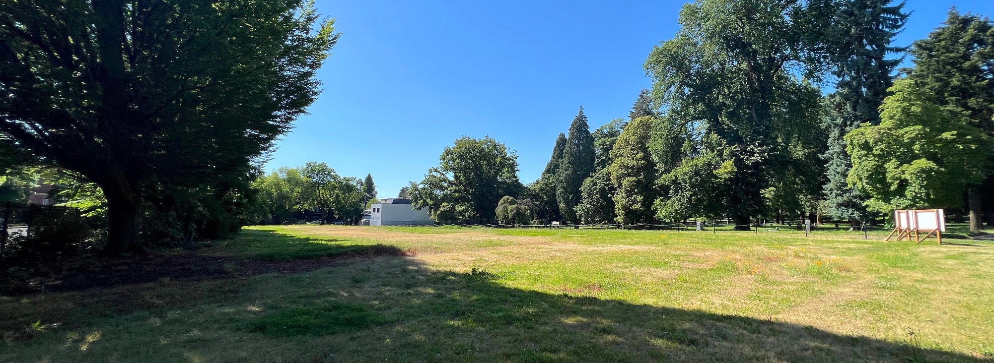 A view of the grassy field in Lone Fir Cemetery known as Block 14. Large, mature deciduous trees are in the distance and cast long shadows on the grass under a clear blue sky.