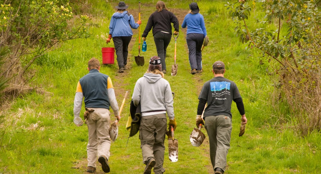 photo of volunteers