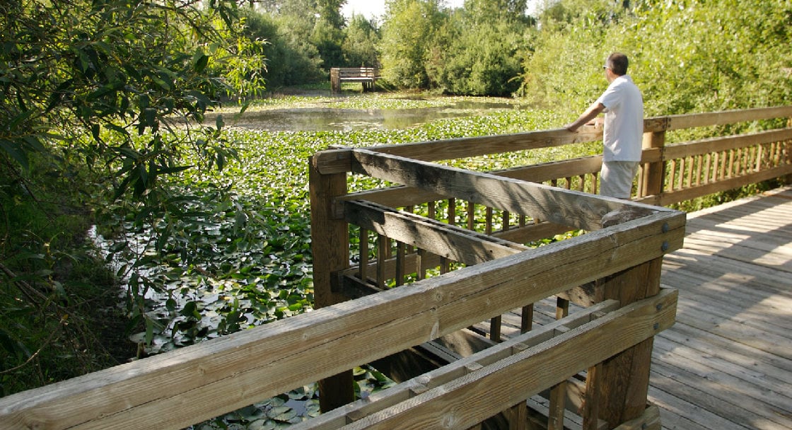 Pond at Blue Lake Park