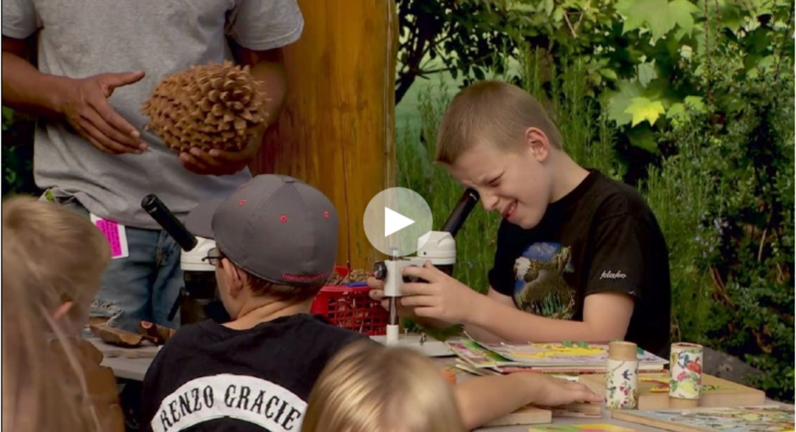 image of video: Go Green: Natural Discovery Garden