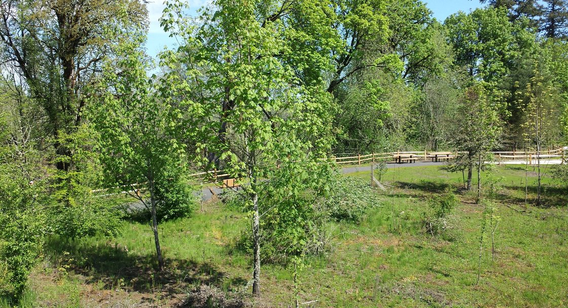 photo of Farmington Paddle Launch