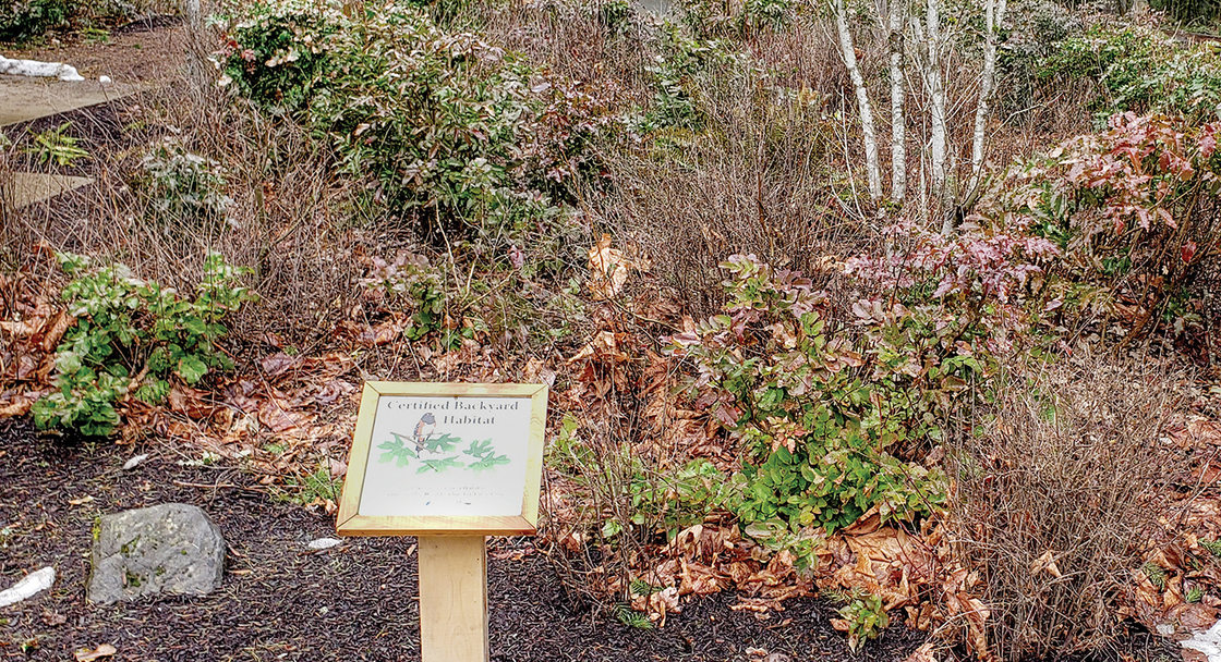A sign for the Backyard Habitat program sits in a garden of native plants at Scouters Mountain Nature Park.