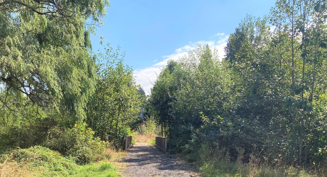 A dirt path, surrounded by grass and trees, leads to a wooden bridge.