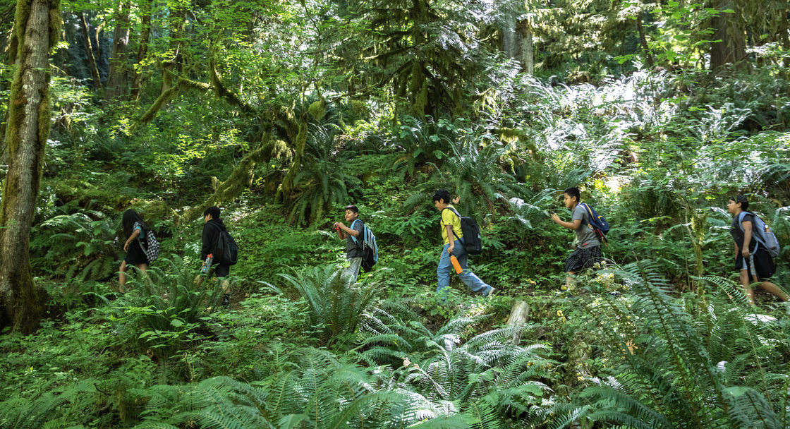 Children with backpacks hike on a trail through a dense, green forest. 