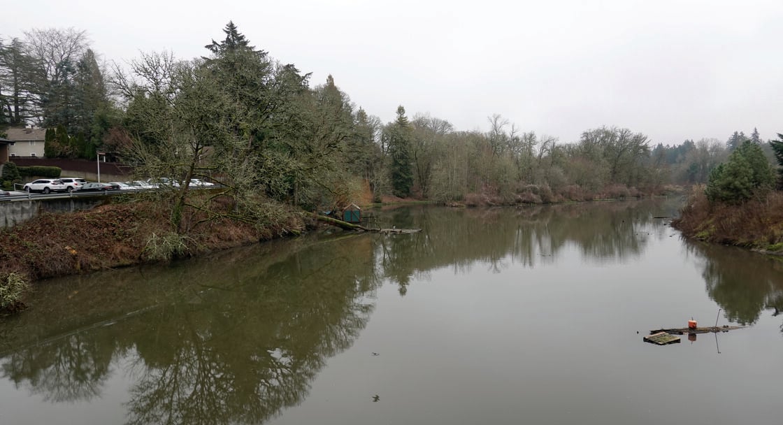 A view of a murky creek from the sidebar. Sparse trees and cloudy weather indicate it is late fall or winter. One the other side of the creek is a parking lot full of cars and a small, weathered dock. 